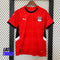 Maillot de l'Egypte domicile